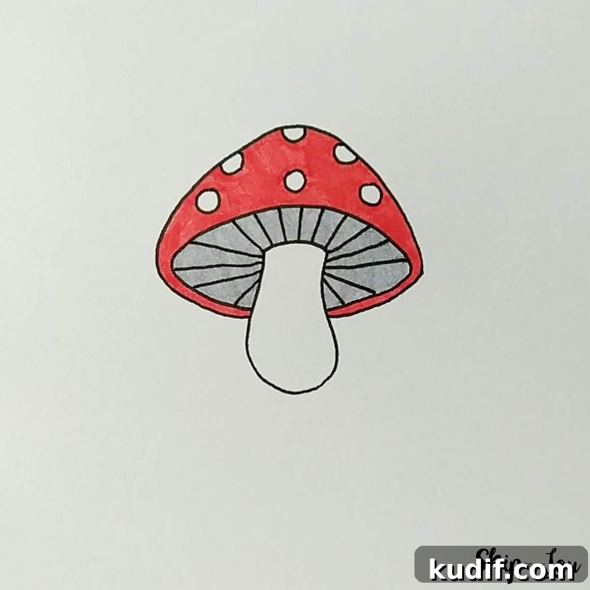 featured 102371