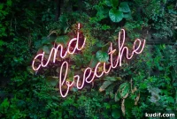 Calm Morning Routine: How CBD Can Reduce Stress and Boost Focus