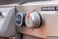 Weber iGrill 3 Review: Bluetooth BBQ Thermometer Performance Guide