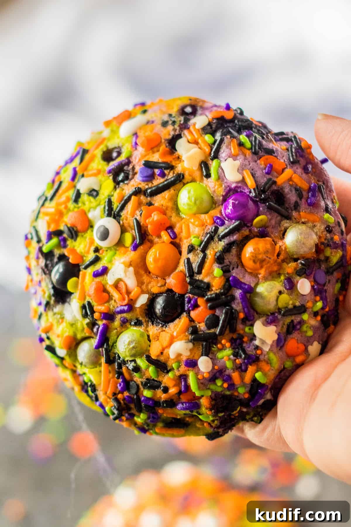 featured 8981