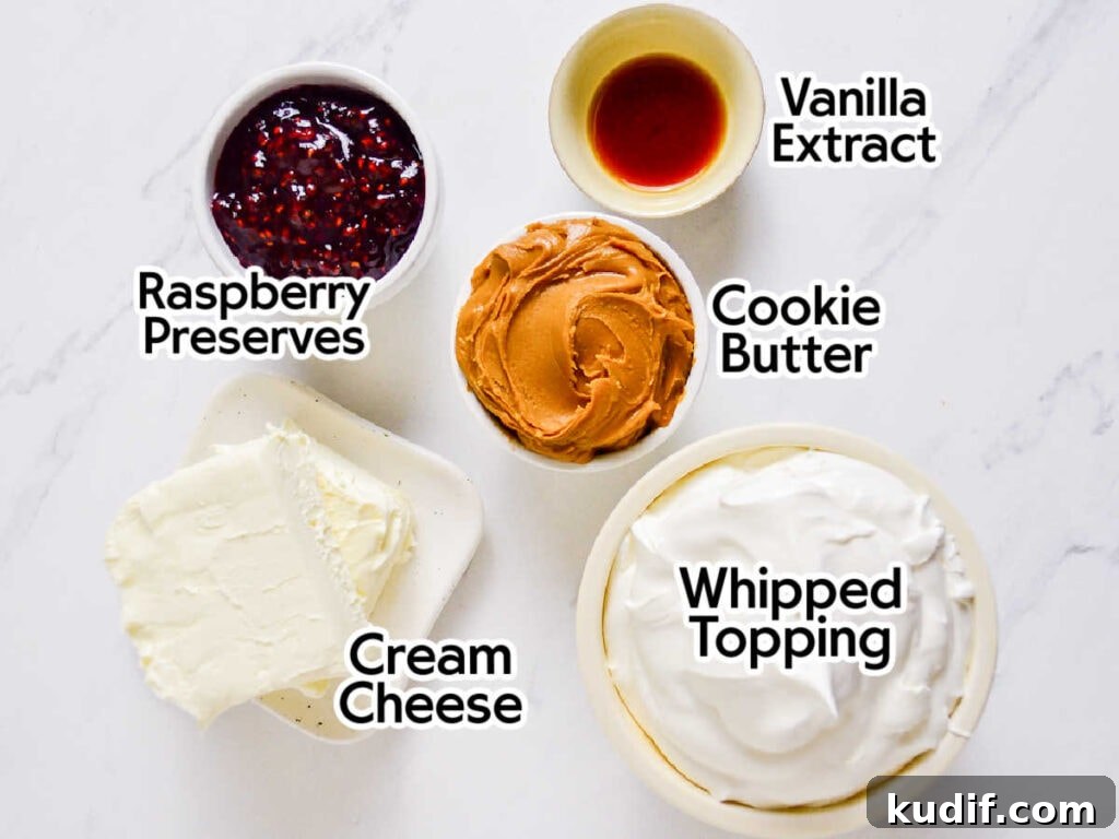 Raspberry Cookie Butter Dip Recipe: Sweet Fruit & Spread Dessert Dip 3 Ingredients to make raspberry cookie butter dip with text labels.
