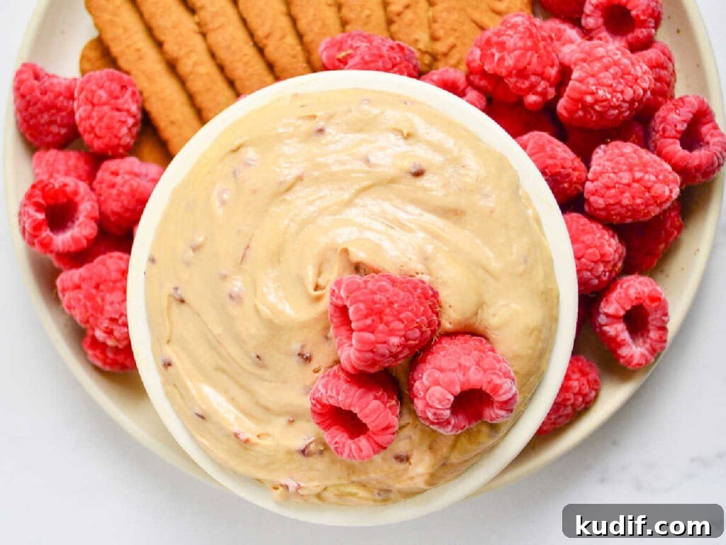 Raspberry Cookie Butter Dip Recipe: Sweet Fruit & Spread Dessert Dip 5 Top view of bowl of Biscoff cheesecake dip with whole raspberries and Lotus cookies.