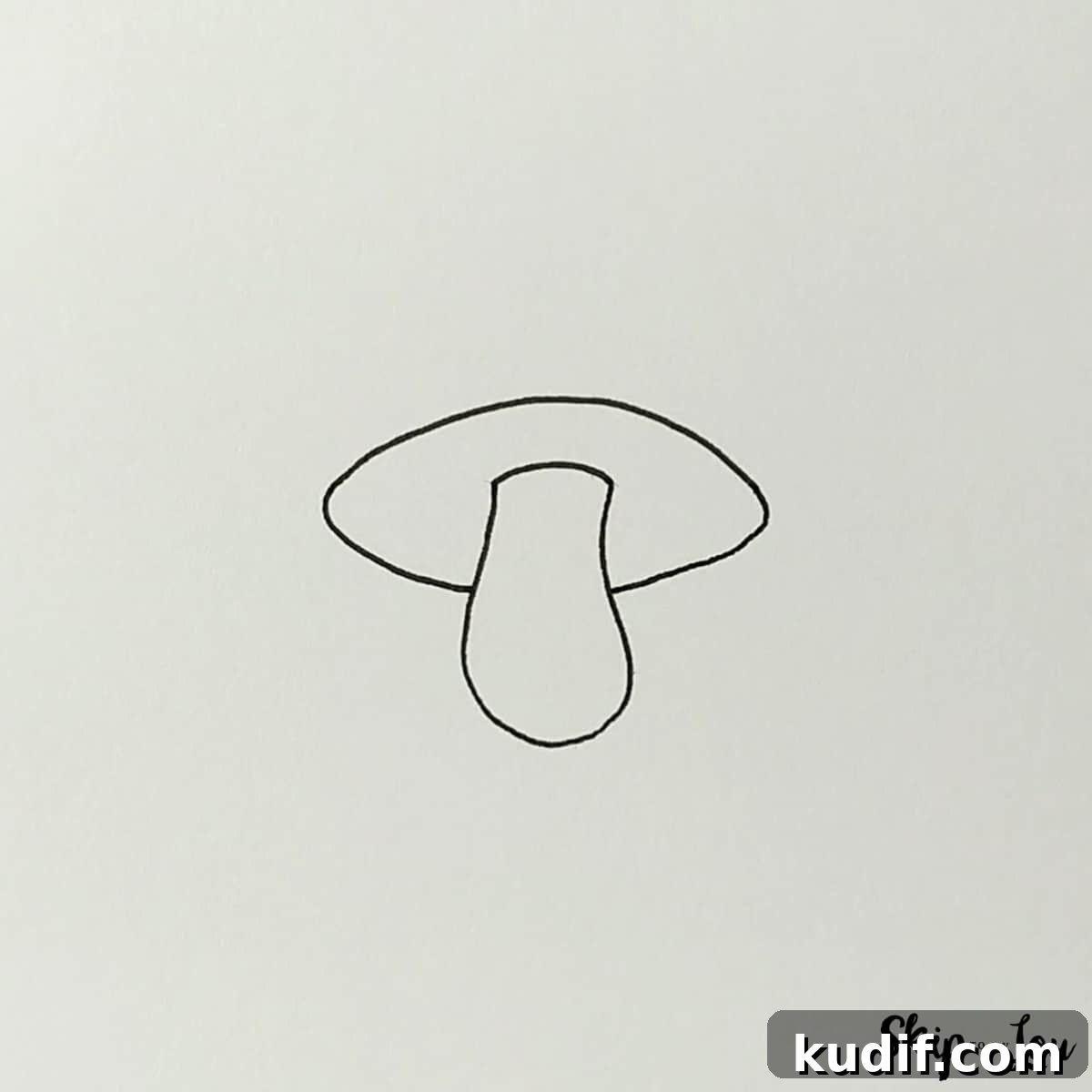 add elliptical for bottom of the cap of the how to draw a mushroom