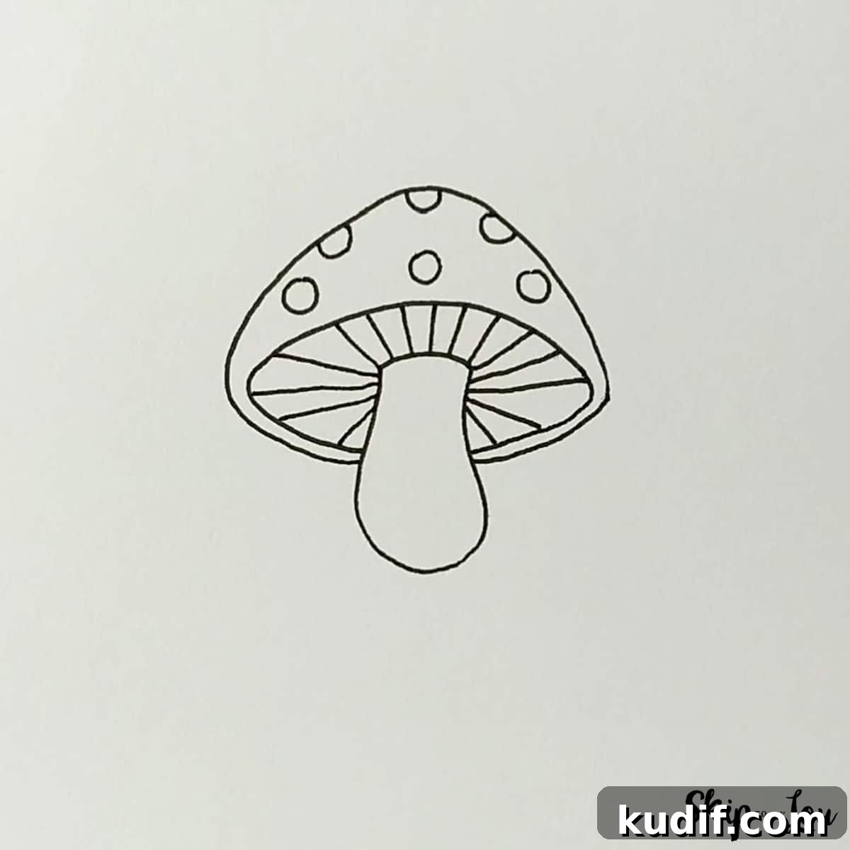 add detail to bottom of mushroom cap in this easy mushroom drawing