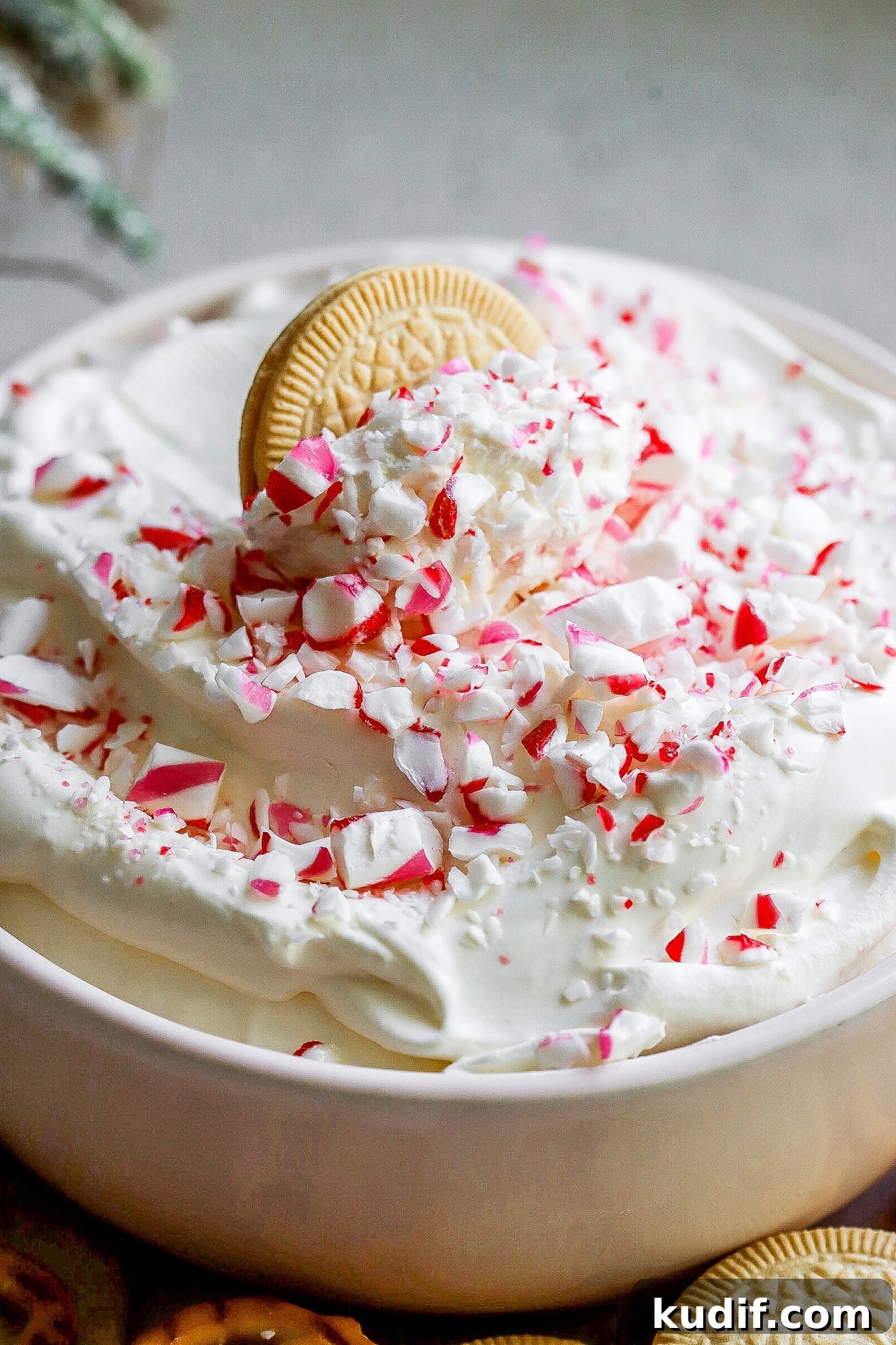 Peppermint Dessert Dip for Christmas Parties 6 Close up view of easy peppermint cheesecake dip with candy cane pieces on top.