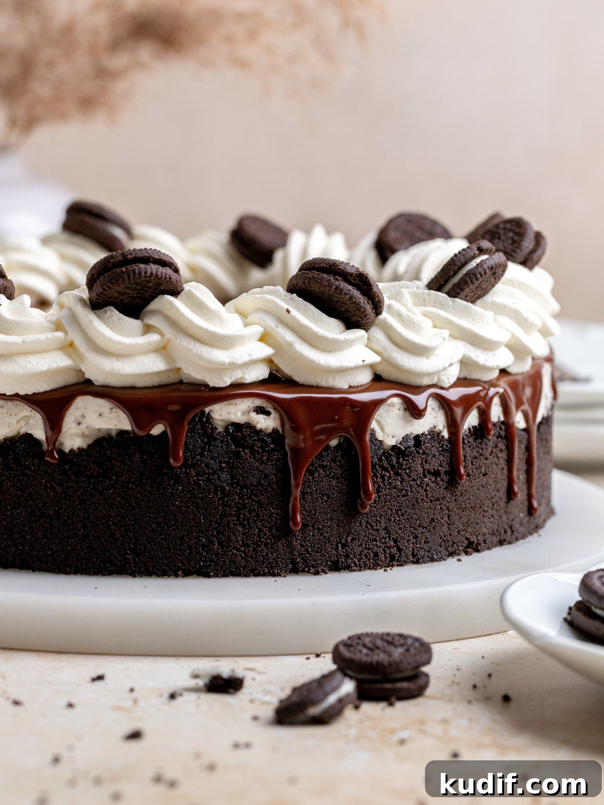 Oreo Cheesecake Oreo cheesecake slice