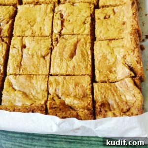 Chewy Nutella Cookie Bars Recipe — Chocolate Hazelnut Squares 2 img 110 1