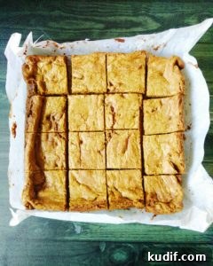 Chewy Nutella Cookie Bars Recipe — Chocolate Hazelnut Squares 5 img 110 4