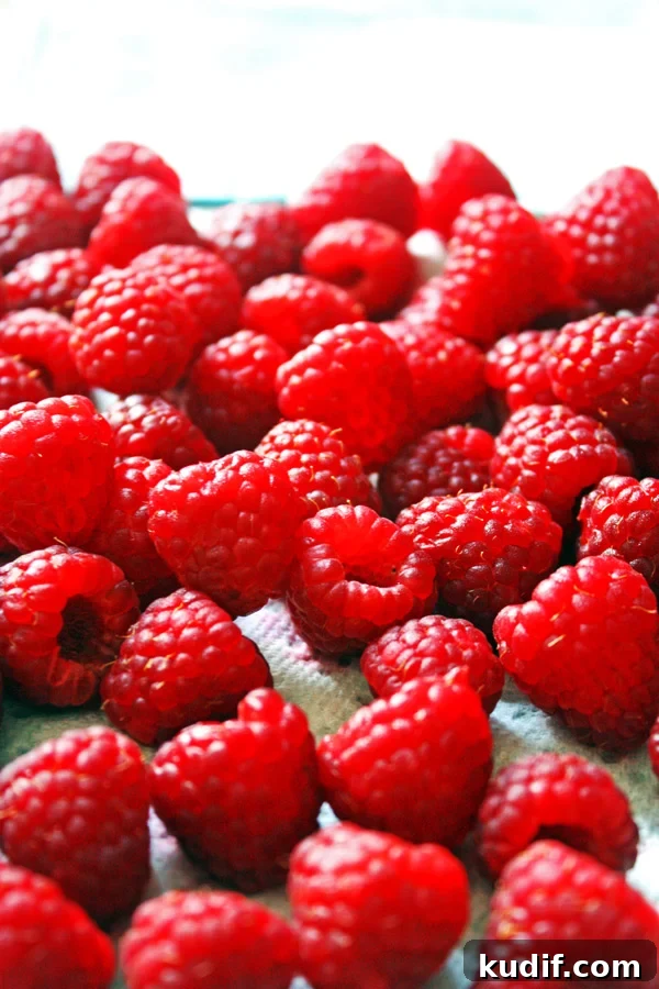 Freeze Raspberries for Smoothies and Desserts: Simple Step-by-Step Guide 3 Raspberries