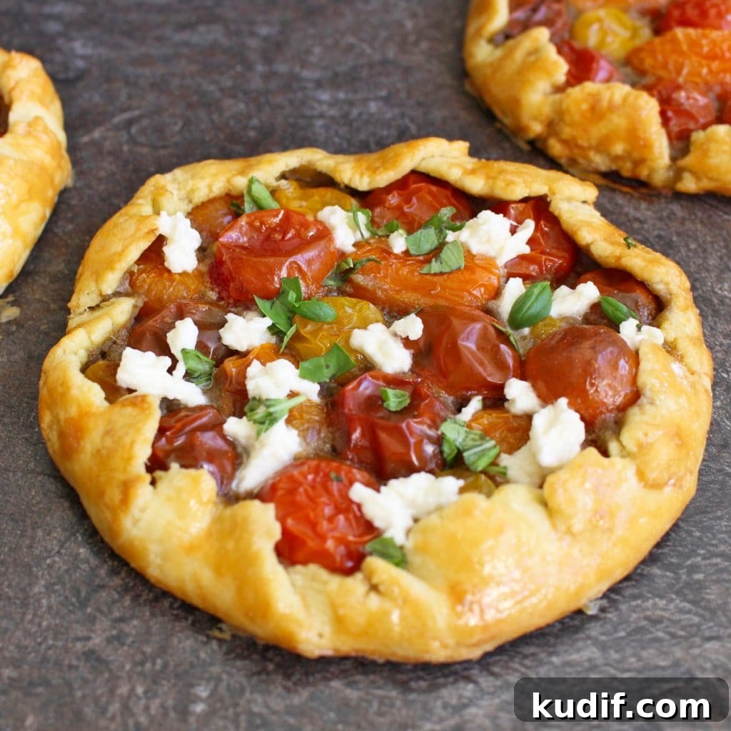 Cherry Tomato Galettes with Fresh Basil Pesto Recipe 2 One Galette on a grey surface
