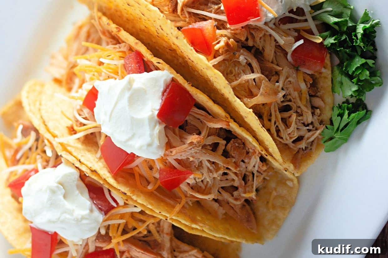 31 Delicious Recipes That Deliver Big Flavor with Little Effort 16 Three hard shell tacos filled with shredded slow-cooked chicken, cheese, diced tomatoes, and topped with sour cream, served on a white plate with a garnish of fresh parsley.