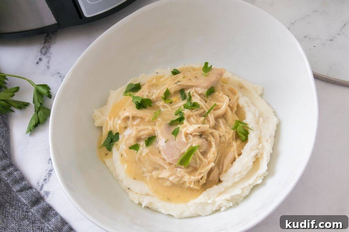 31 Delicious Recipes That Deliver Big Flavor with Little Effort 9 A bowl of mashed potatoes topped with shredded chicken in creamy gravy, garnished with chopped parsley.