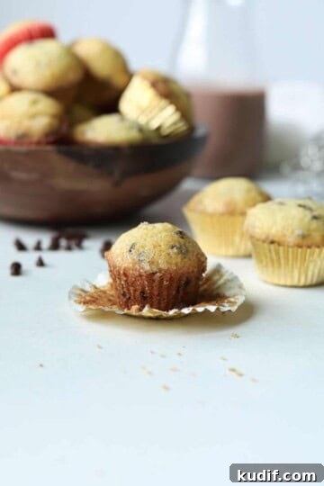 Mini chocolate chip muffin in front of bowl full of muffins and chocolate milk container