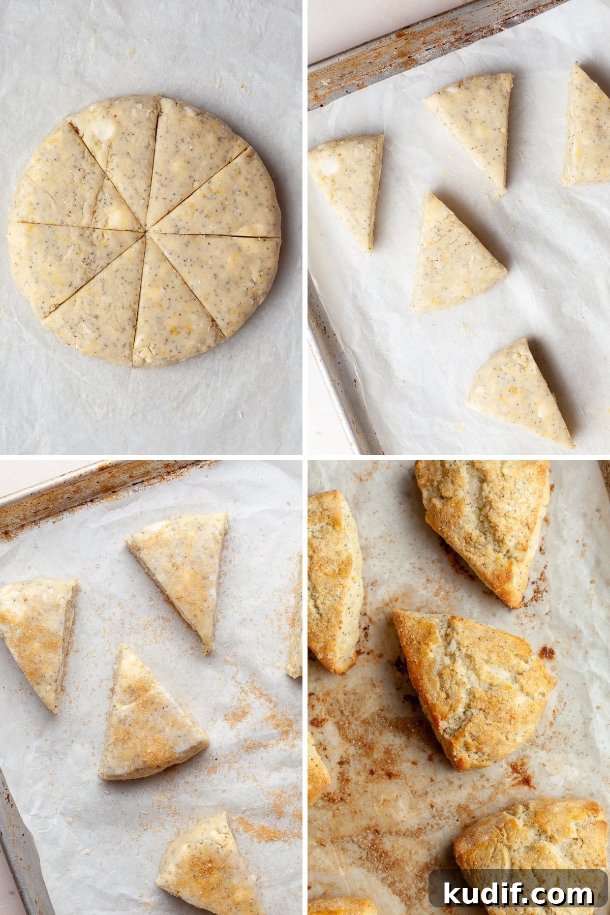 Fluffy Gluten-Free Lemon Scones Recipe for Perfect Tea-Time 6 img 13858 5