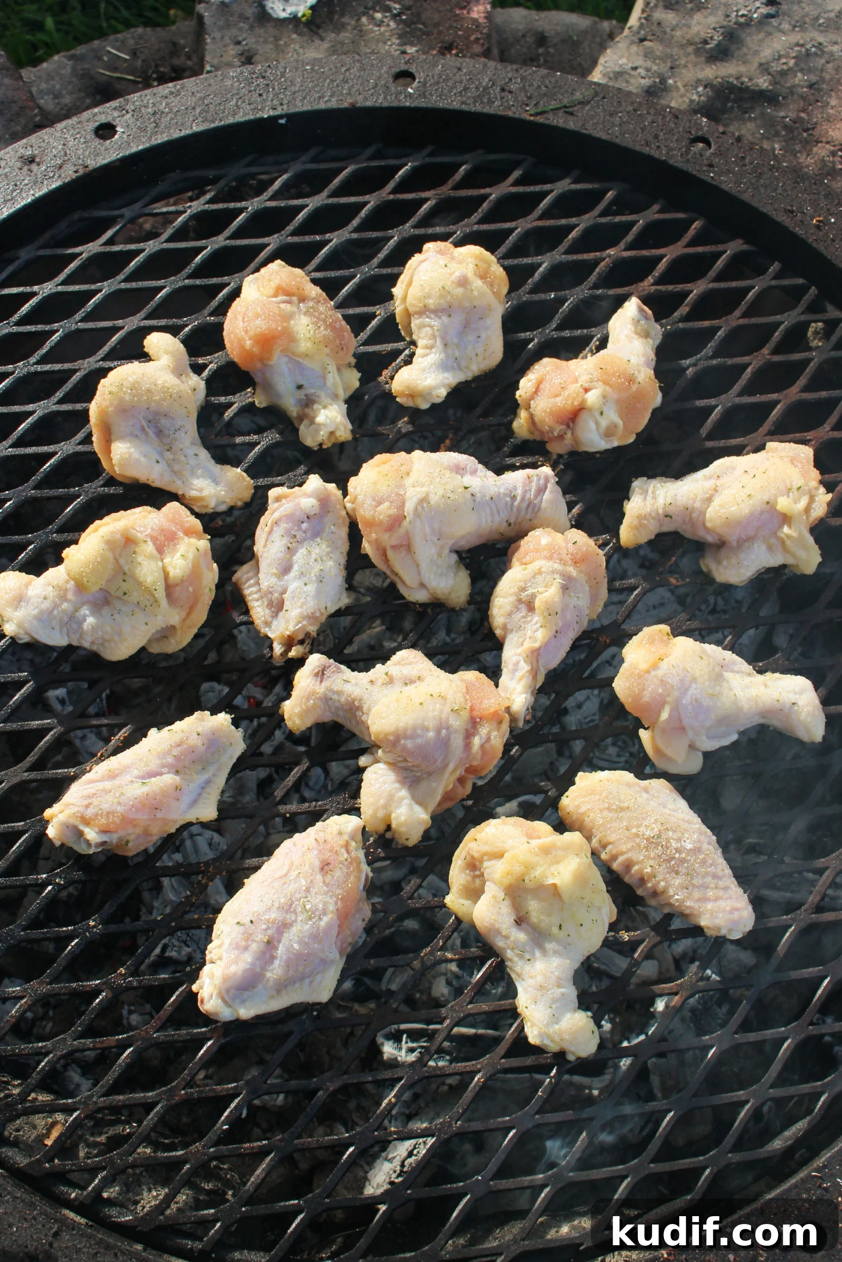 Garlic Parmesan and Beer Wings