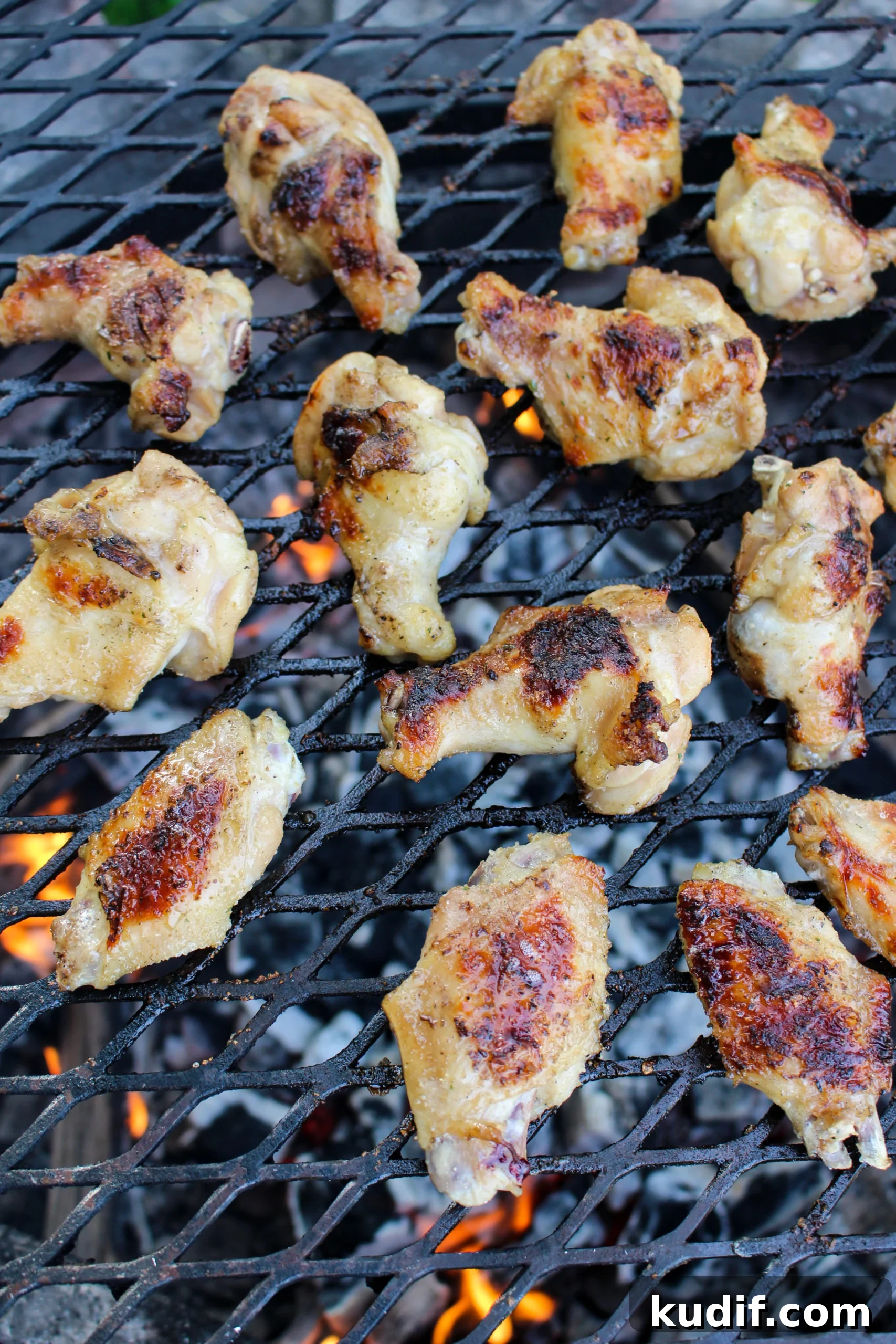 Garlic Parmesan and Beer Wings