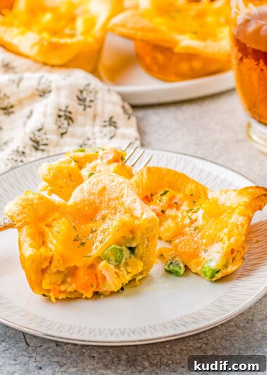 Comforting Chicken Pot Pie Casserole Recipe for Weeknights 11 Mini Chicken Pot Pies with Crescent Roll Crust - A FAST and EASY family-favorite recipe that uses just 5 main ingredients!