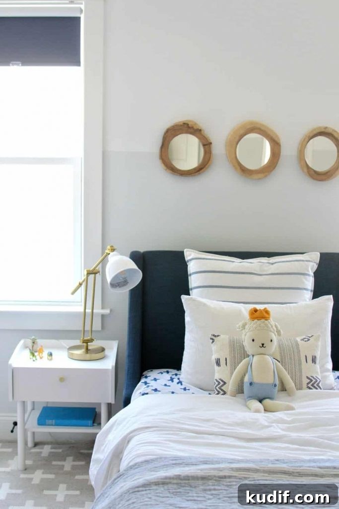 Sherwin Williams ice cube boys bedroom