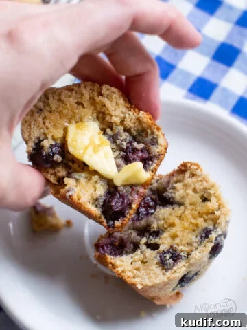 blueberry muffin recipe with whole wheat flour