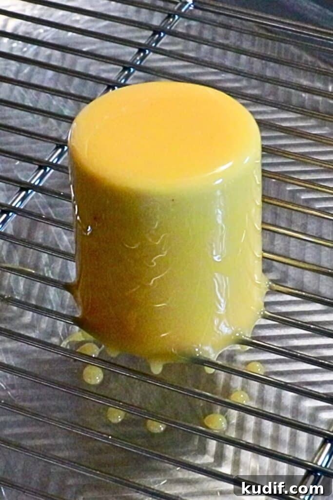 Glossy Mirror Glaze Cake Techniques and Recipe Guide 24 img 14487 27
