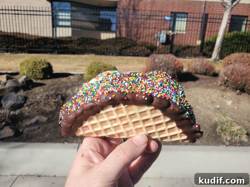 Ice cream taco covered in chocoalte and sprinkles 