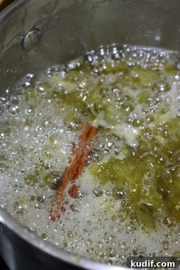 Old-Fashioned Green Tomato Jam Recipe — Sweet & Tangy Preserve 5 Making Green Tomato Jam