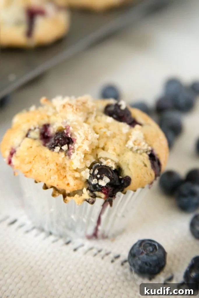 Individual Blueberry Crisps Recipe for One — Quick Berry Dessert 6 best gluten free blueberry muffins