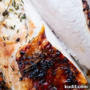 Roasted Turkey Breast