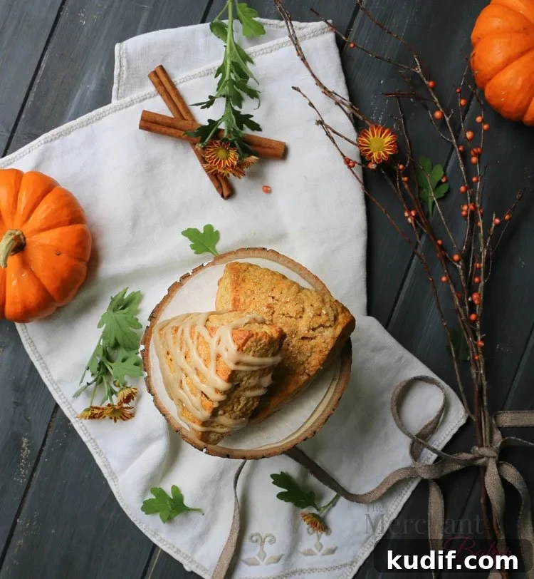 Pumpkin Scones Recipe: Flaky Spiced Scones for Fall Baking 6 Top view of two of the best pumpkin scones displayed on a raw wood slab by themerchantbaker.com