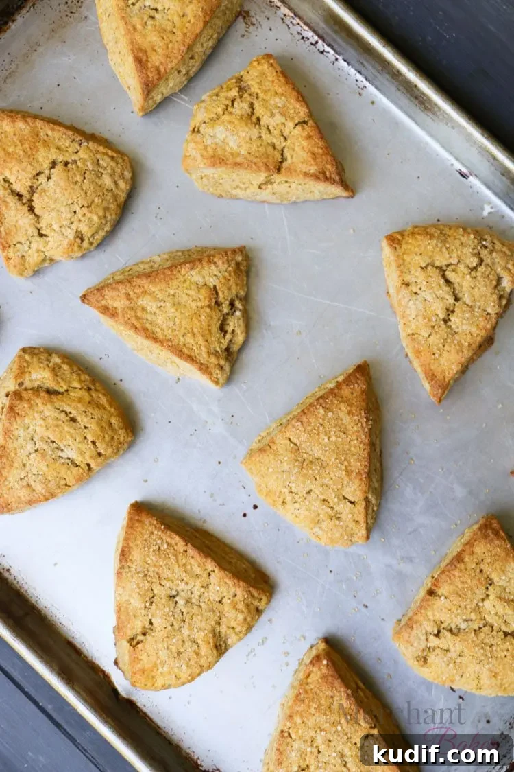 Pumpkin Scones Recipe: Flaky Spiced Scones for Fall Baking 9 Top view of the best pumpkin scones on a baking sheet by themerchantbaker.com