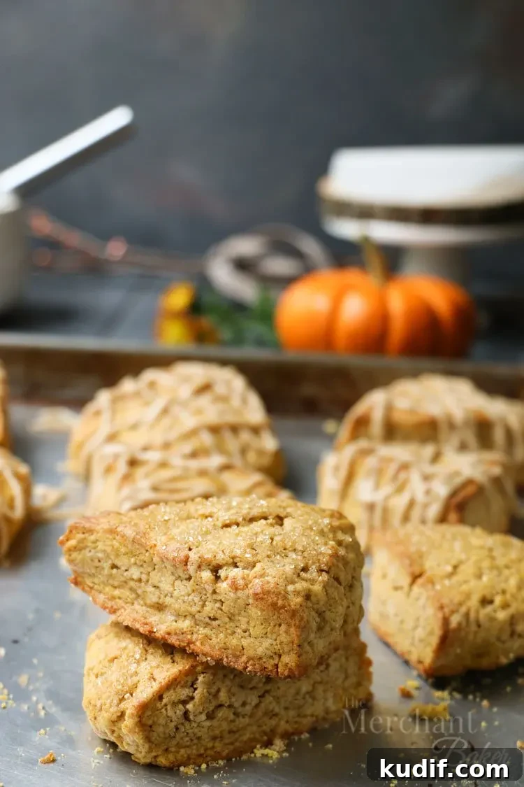 Pumpkin Scones Recipe: Flaky Spiced Scones for Fall Baking 5 The best pumpkin scones with and without cinnamon icing on a baking sheet by themerchantbaker.com