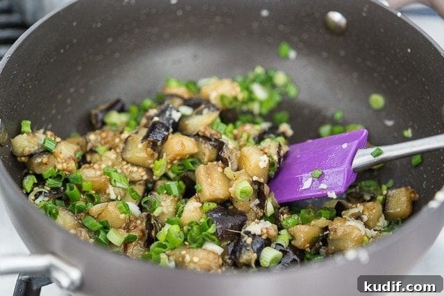 Green Onion Added to Cooked Chopped Eggplant in Pan