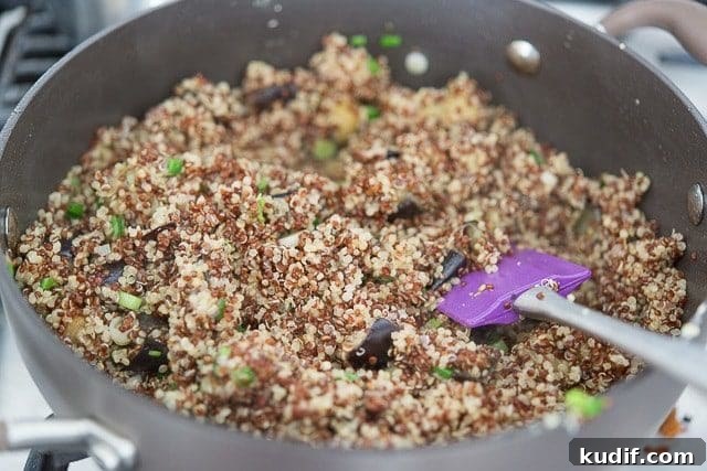 Cooked Tri-Color Quinoa Stirred Into Eggplant In Pan
