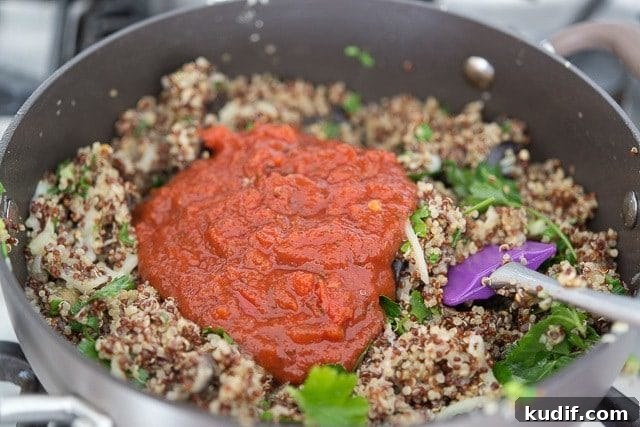 Pile of Marinara Sauce On Quinoa Eggplant Stuffing Mixture