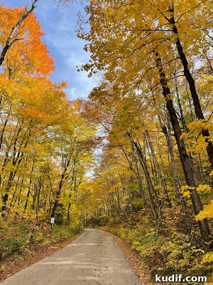 Favorite leaf-peeping spot in New England: Tripoli Road