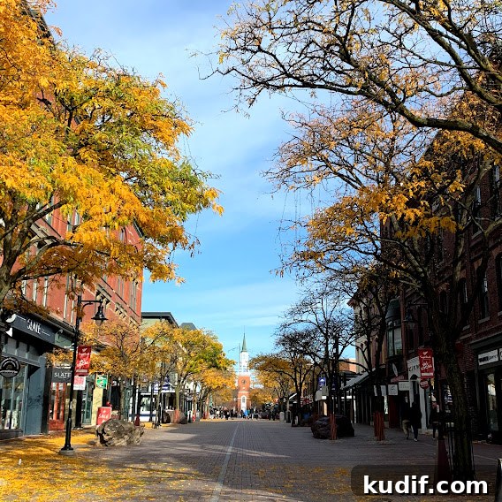 Church Street Burlington Vermont in fall
