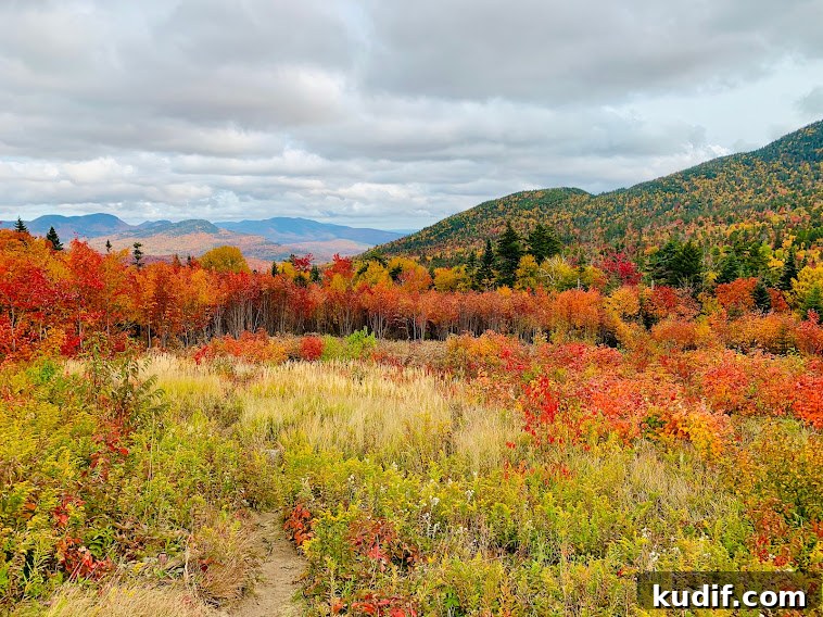 Kancamagus Highway: Leaf Peeping