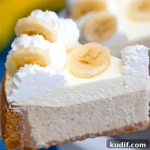 Irresistible Banana Dessert Recipes You’ll Love 15 img 18389 14