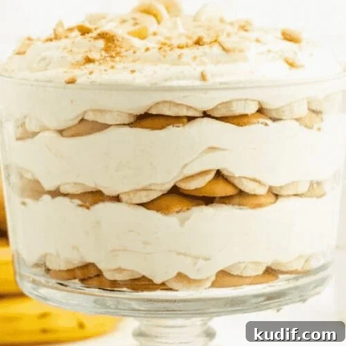 Irresistible Banana Dessert Recipes You’ll Love 16 img 18389 15