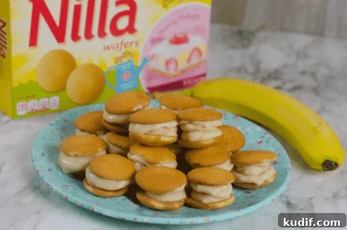 Irresistible Banana Dessert Recipes You’ll Love 20 img 18389 19