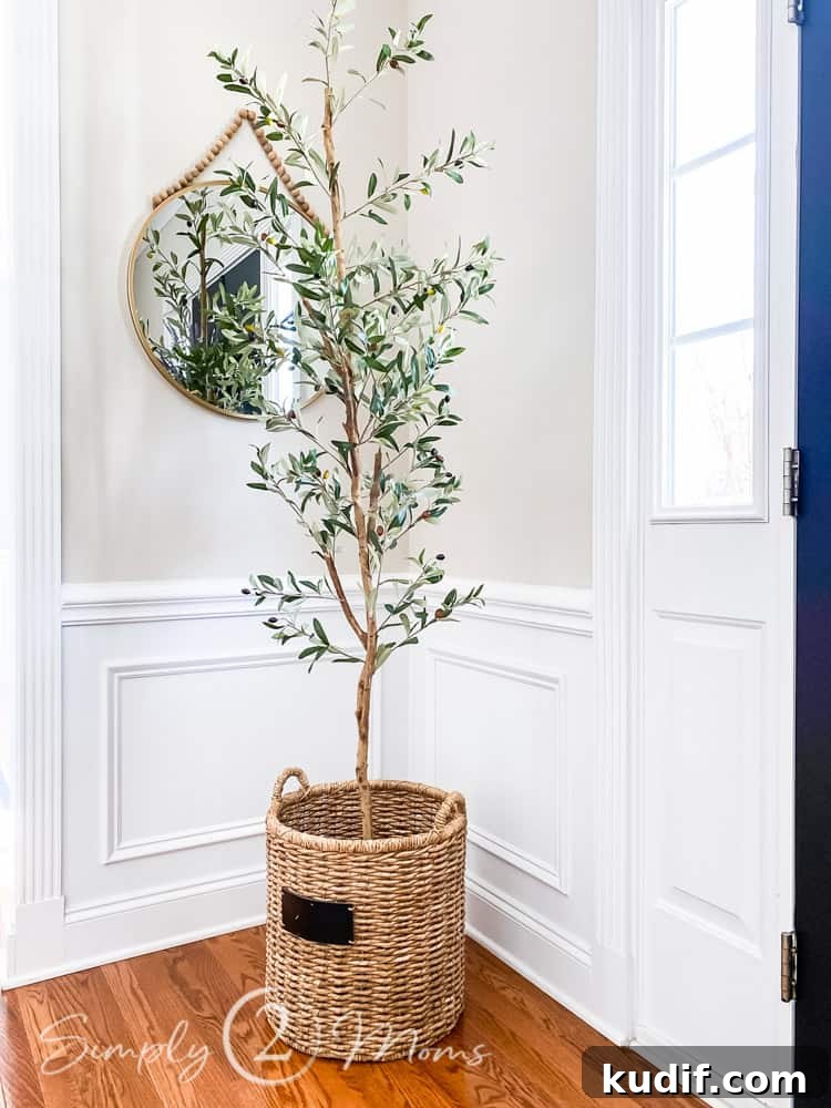 faux olive tree in wicker basket on floor in foyer with mirror hanging on wall behind