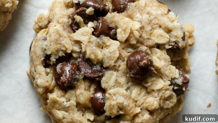 Gluten-Free Vegan Banana Chocolate Chip Cookies