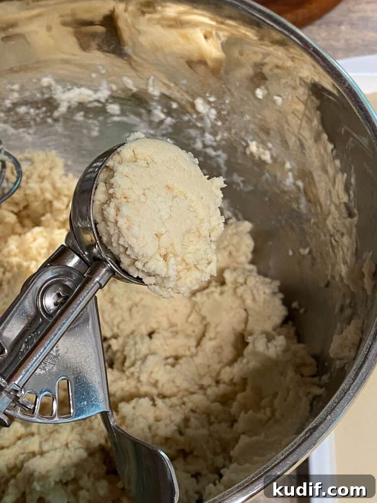 Raspberry Jam Thumbprint Cookies Recipe for Soft, Buttery Cookies 11 process shot of using ice cream scooper to collect dough