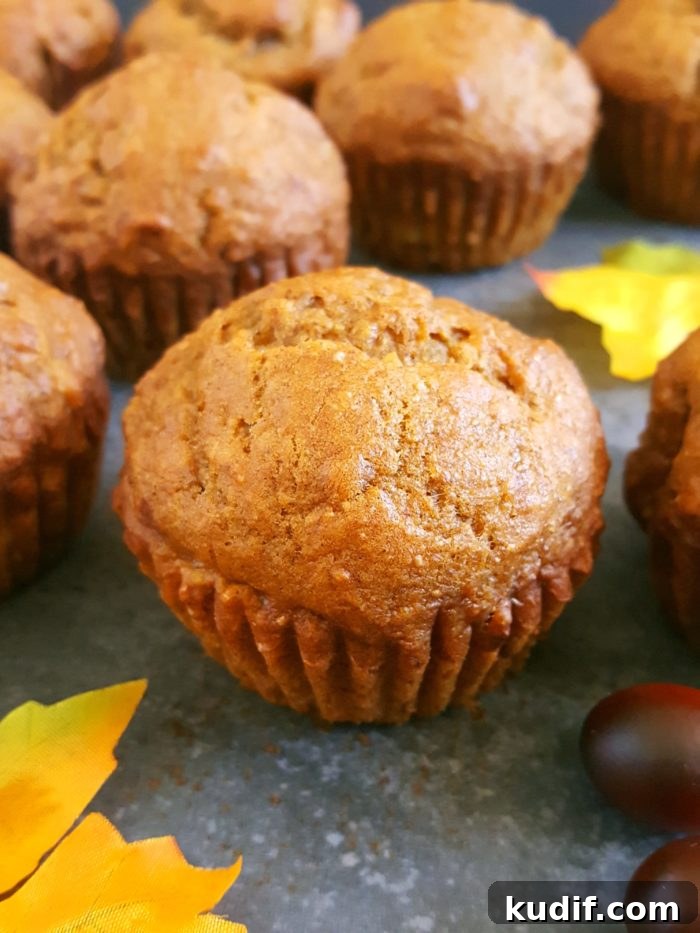 Healthy Pumpkin Banana Muffins – A pumpkin banana mash up! Delicious vegan pumpkin banana muffins that are so soft, moist, and perfectly spiced. Great for a clean-eating fall breakfast or snack.
