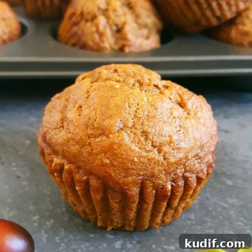Healthy Pumpkin Banana Muffins – A pumpkin banana mash up!