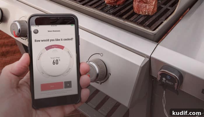igrill iphone app igrill iphone app