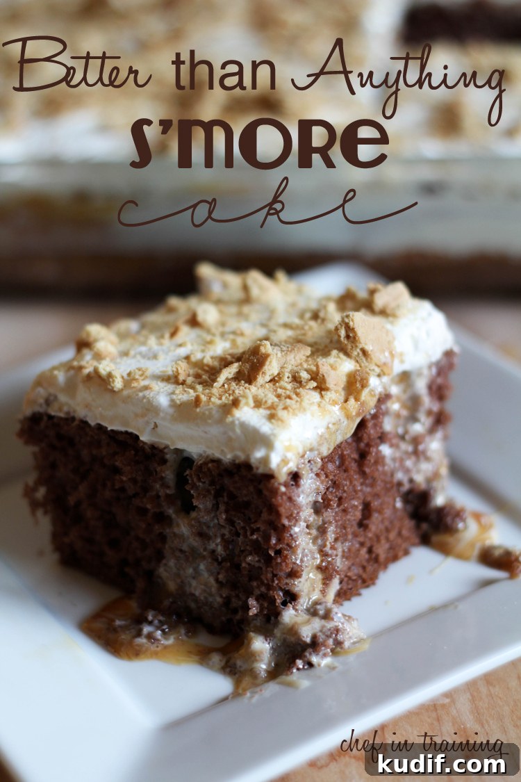Better than Anything S'more Cake