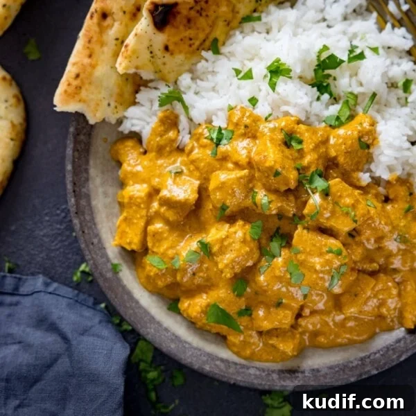 Authentic Chicken Madras Curry Recipe for Bold Flavor 10 Chicken korma, naan and rice in a bowl on a dark background.