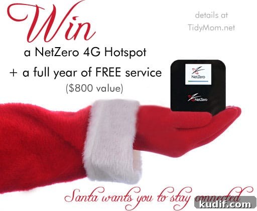 Win a NetZero Hotspot + a FREE year of Service at TidyMom.net Win a NetZero Hotspot + a FREE year of Service at TidyMom.net