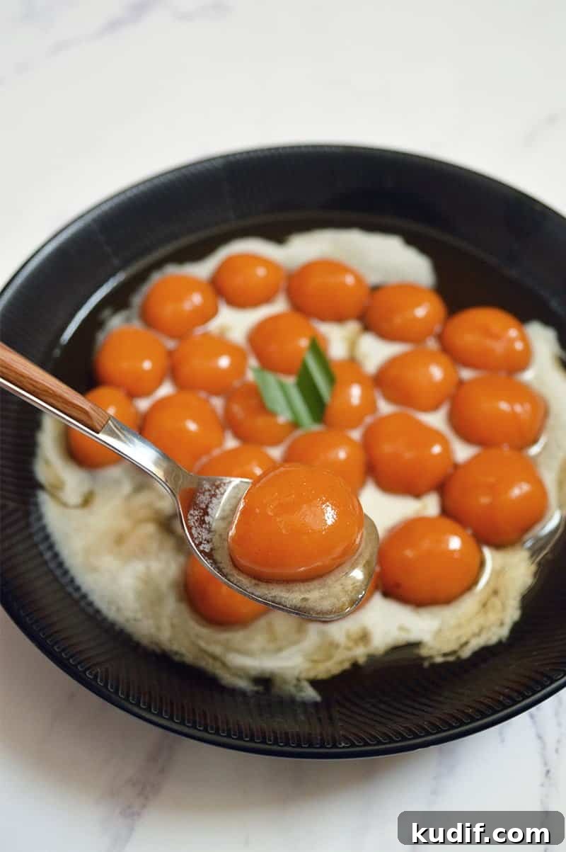 Biji Salak: Sweet Potato Balls in Palm Sugar Porridge with Coconut Milk 2 biji salak 3